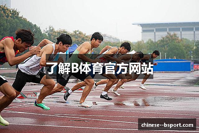 了解B体育官方网站